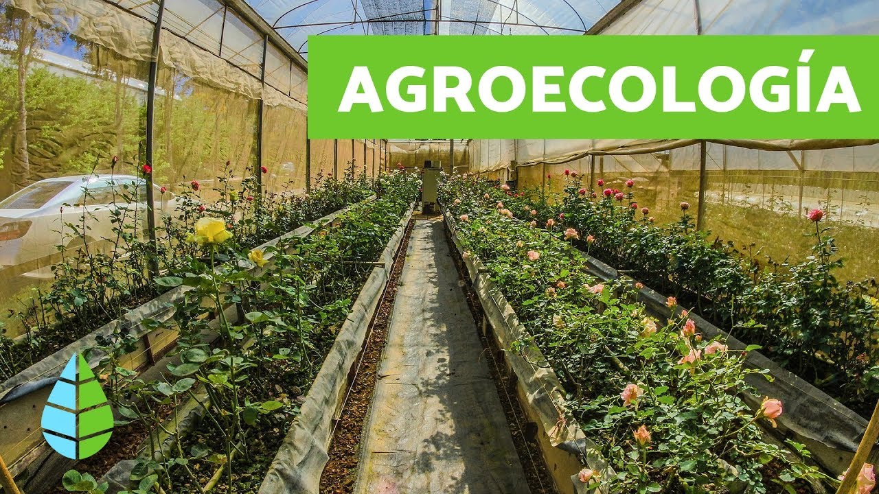 Qu&eacute; es la AGROECOLOG&Iacute;A - Agroecologia CARACTER&Iacute;STICAS