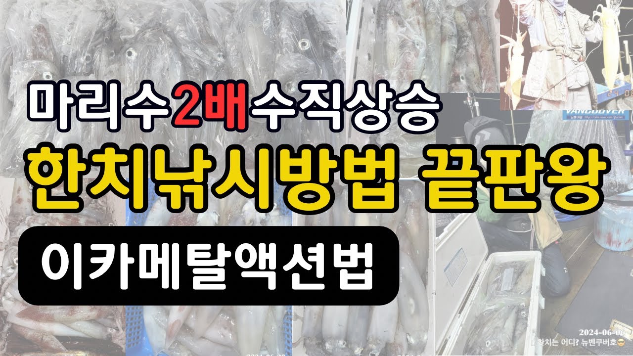 한치낚시 액션방법 이 영상하나로 끝냅니다. [이카메탈편]