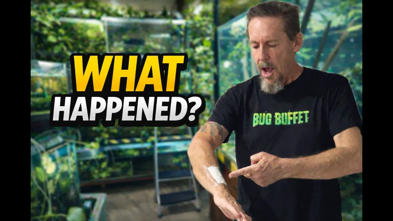 What Happened? | Injury Update + Full Fishroom, Ponds & Backyard Tour