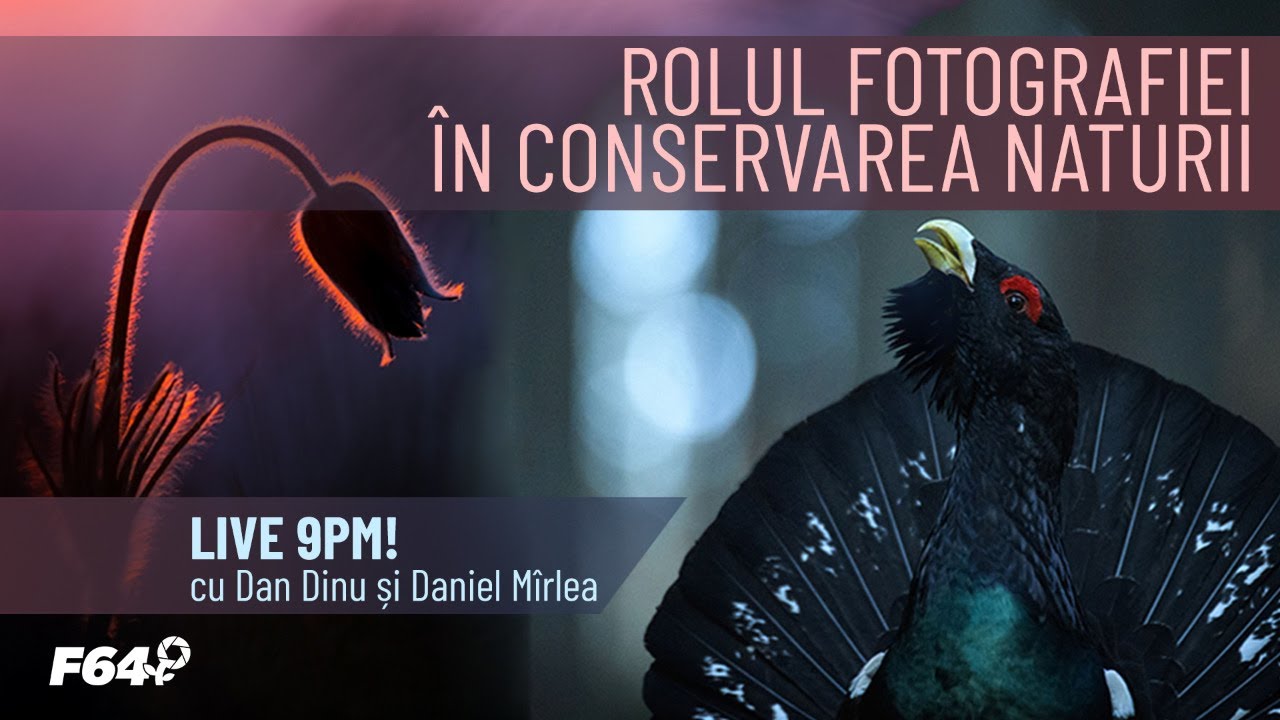 Rolul fotografiei în conservarea naturii cu Dan Dinu și Daniel Mîrlea