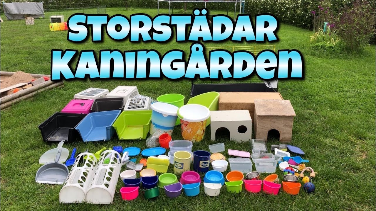 Storstädar kaningården 2019