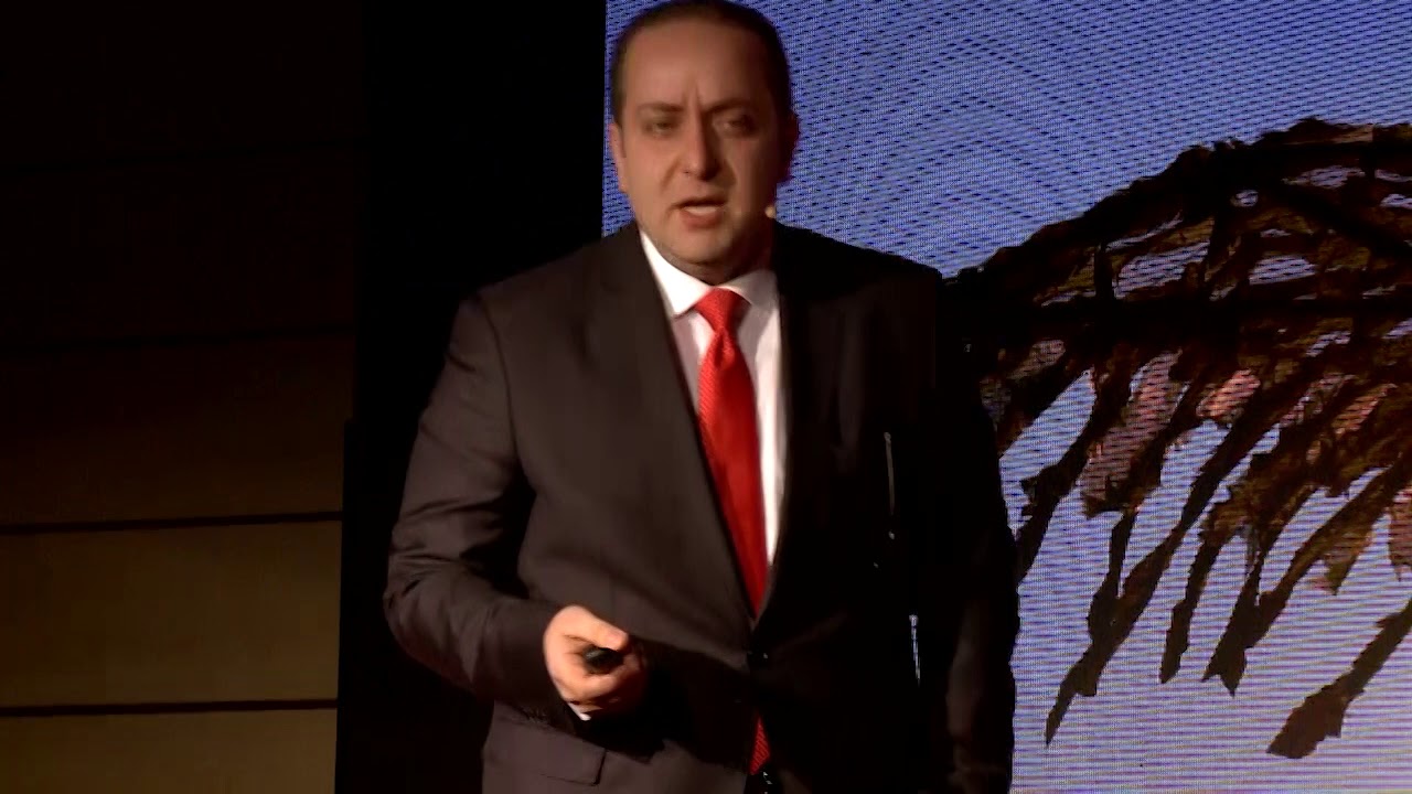 A Desert Named Business | Alireza Nakhjavani | TEDxIUMS