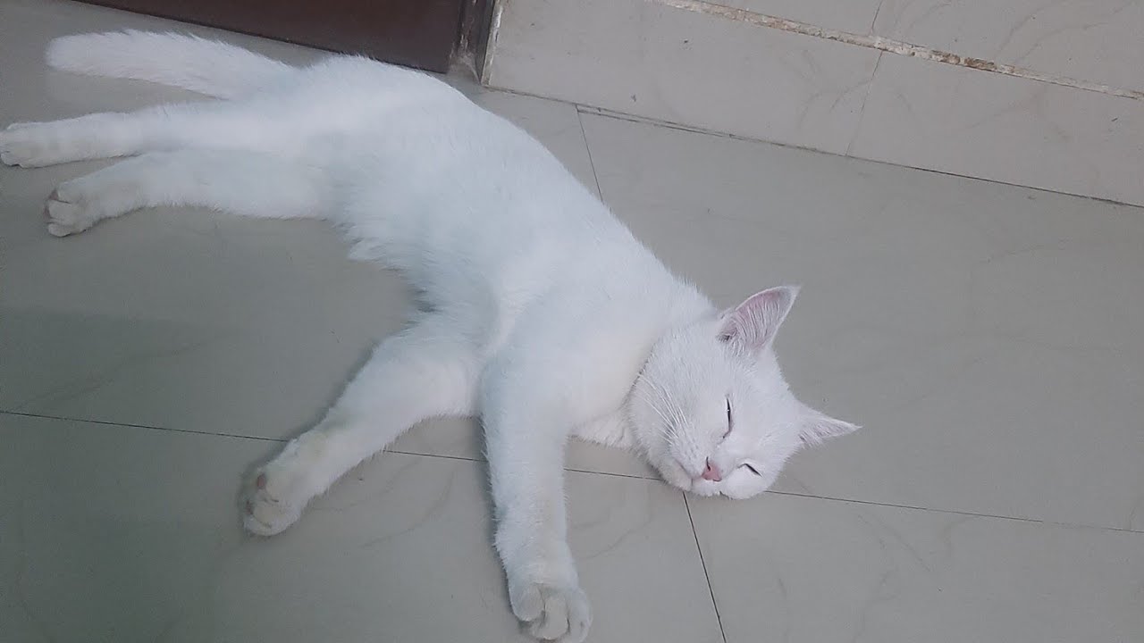 Khel ke thak gai meri hoora