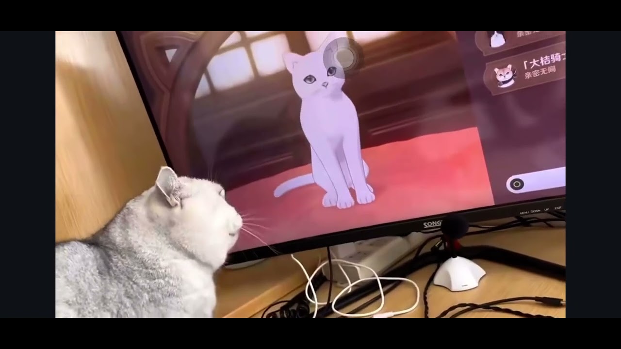 Genshin v4.6 Event - Feline Fortress Furrdyssey - IRL Cat's Reaction to Virtual Cats