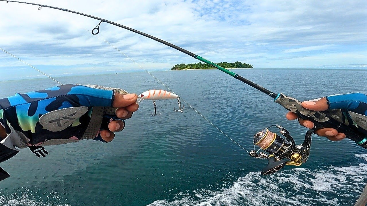 SEAHAWK EXPLORER FJ 2-6LB DAN DISCOVERY 1000 FULL STRIKE ON CASTING || Ultralight Fishing