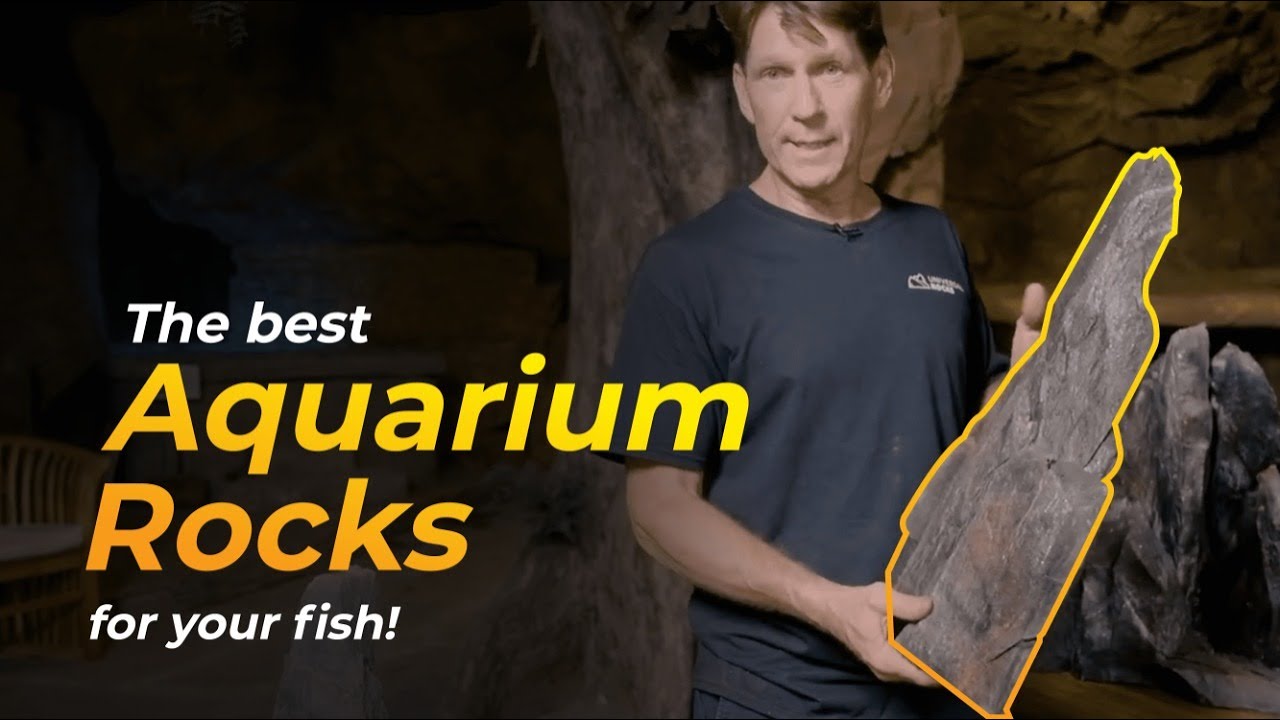 NEW: Aquarium Rock Decor Your Fish Will Love! | Aquarium Safe Faux Rocks from Universal Rocks