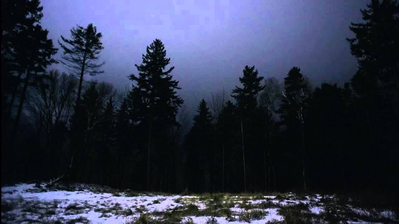 Звуки природы - Ночь ужаса в лесу