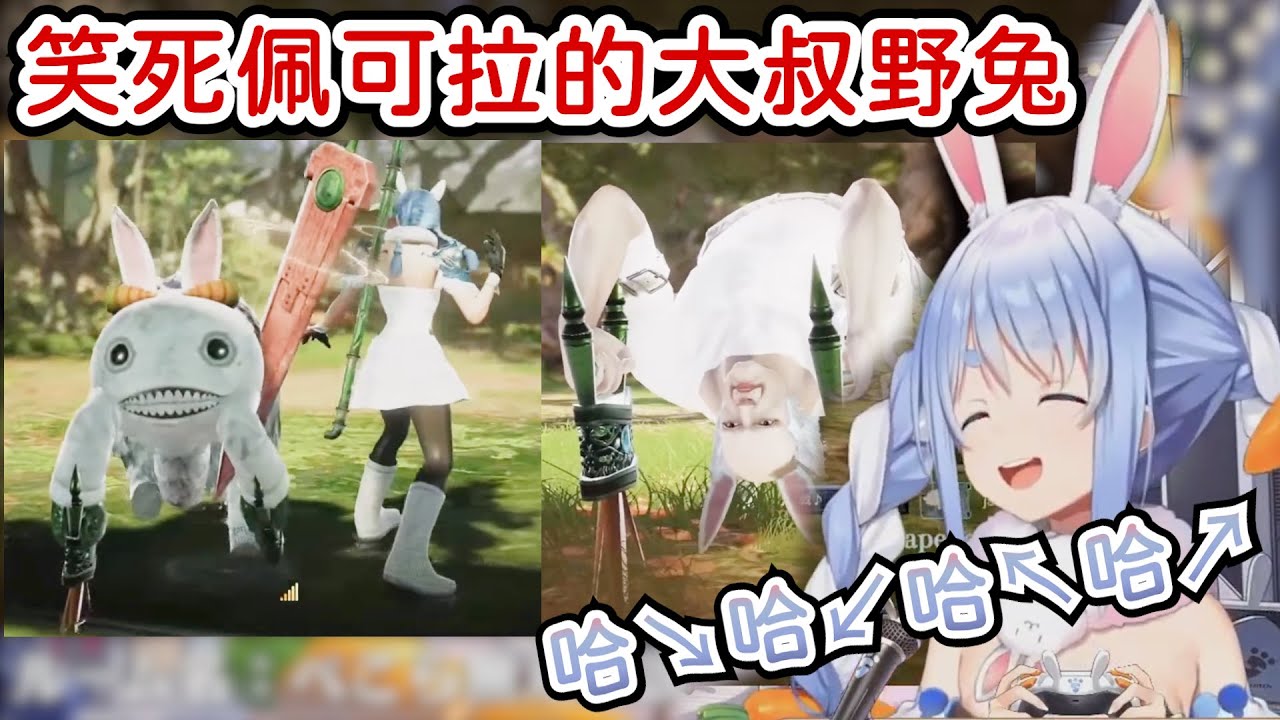 【兎田ぺこら/兔田佩可拉】被野兔造型笑到不能自己的族長，本體是大叔過於真實w【Hololive中文】