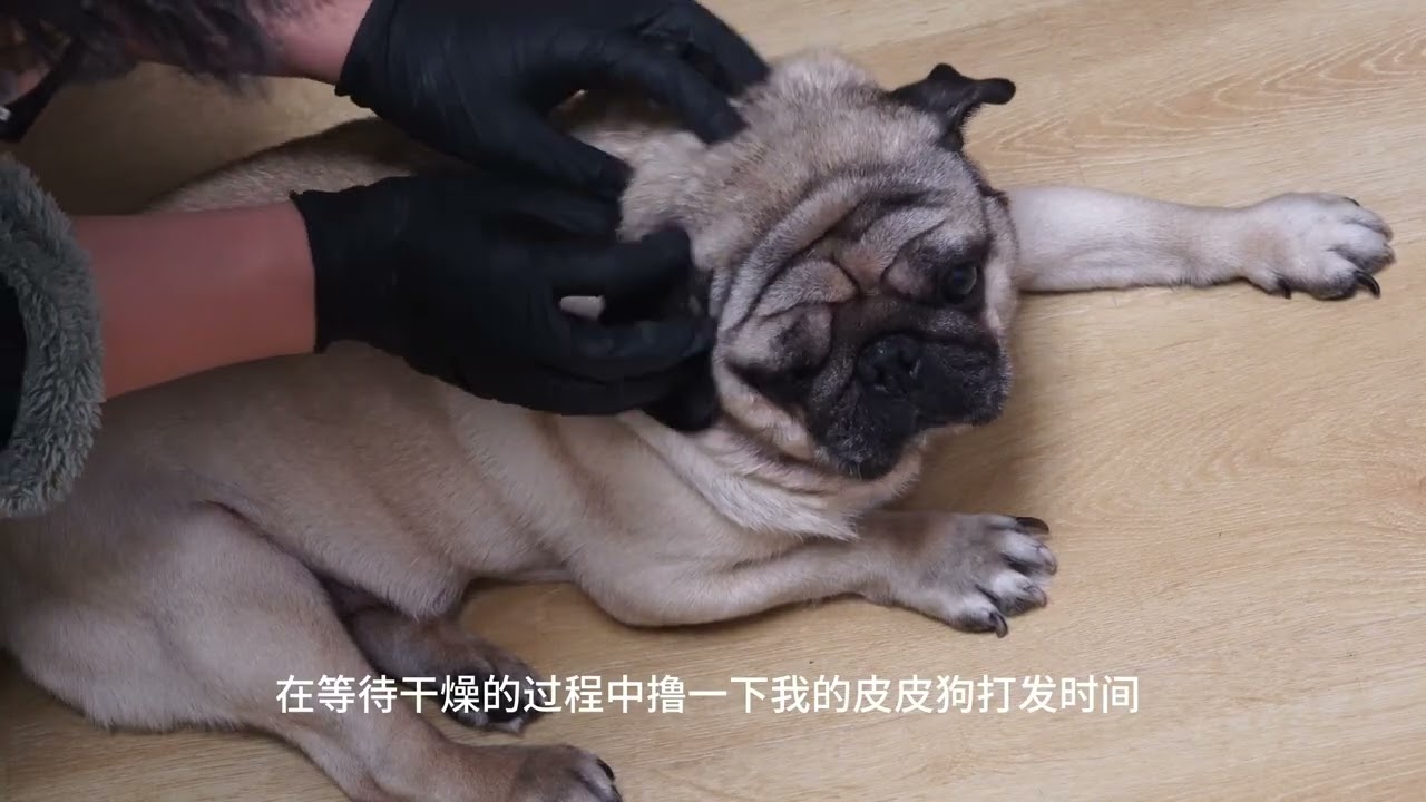 I Made a High-End Metal Logo for FREE With Salt Water & a Power Supply!