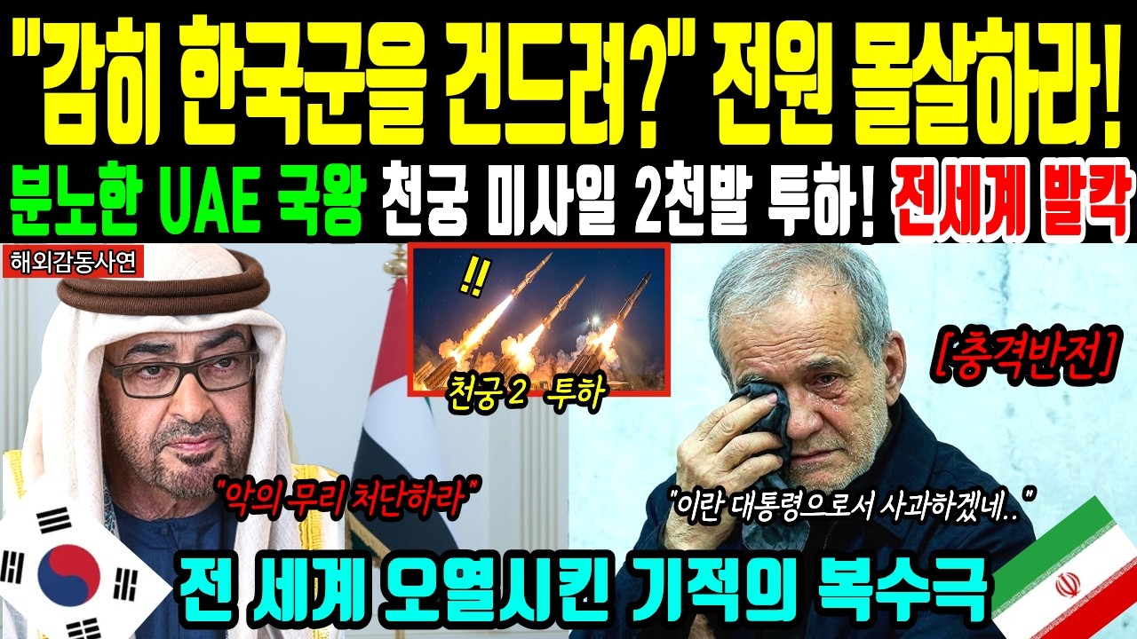 [해외감동사연] 한국 피격 소식에 분노한 UAE 국왕 천궁2 미사일 융단폭격으로 이란 굴복을 얻어내는데... 전쟁 확산 감수하며 한국 대신 복수극 뛰어든 기막힌 이유!