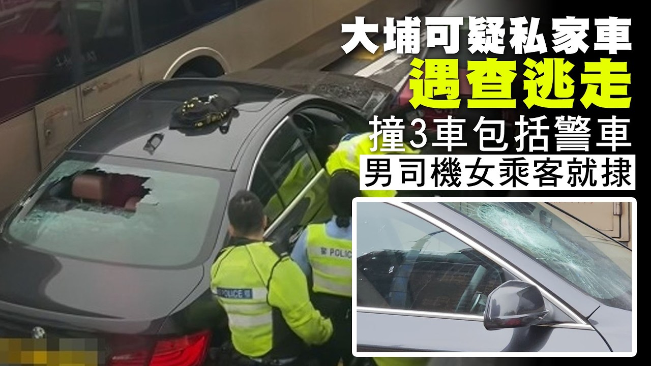 【on.cc東網】大埔可疑私家車遇查逃走　撞3車包括警車　男司機女乘客就捸 | 「東呼」 ： 新年寫揮春隨時變侵權？　插畫家揭設計遭抄襲經歷