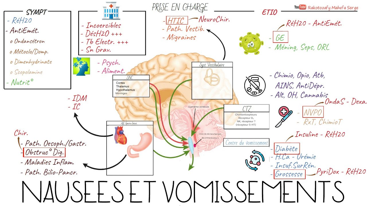 CMC - OBJECTIF 116 : VOMISSEMENTS ET/OU NAUSEES