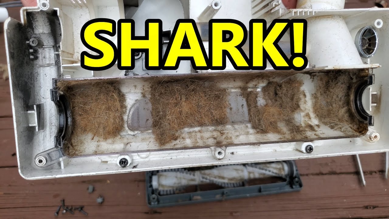 Shark NV356 Curb Find Teardown And Bathtime | Needs Hoses