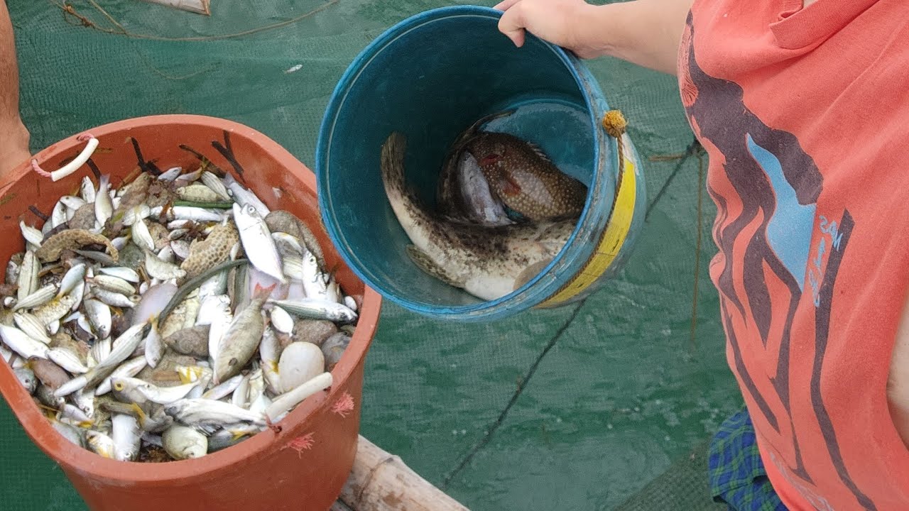 Ep52 Dami huli sa baklad Fishing Vacation part 1