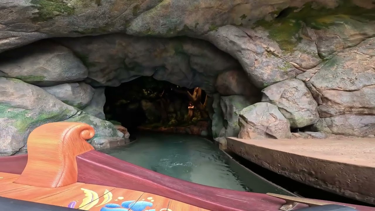 Disney land Fantasy Springs (Rapunzel's Forest)