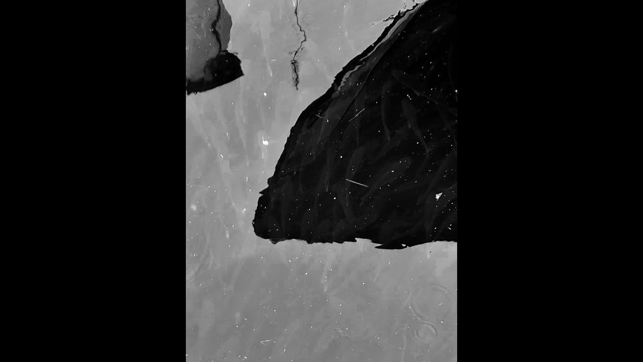 GORSAY - and now (official demo) | Shoegaze / Slowcore