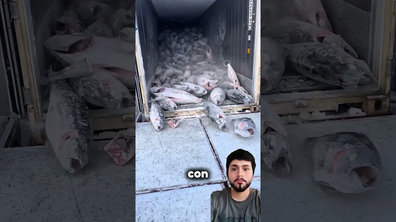 Cuando la experiencia lo cambia todo 