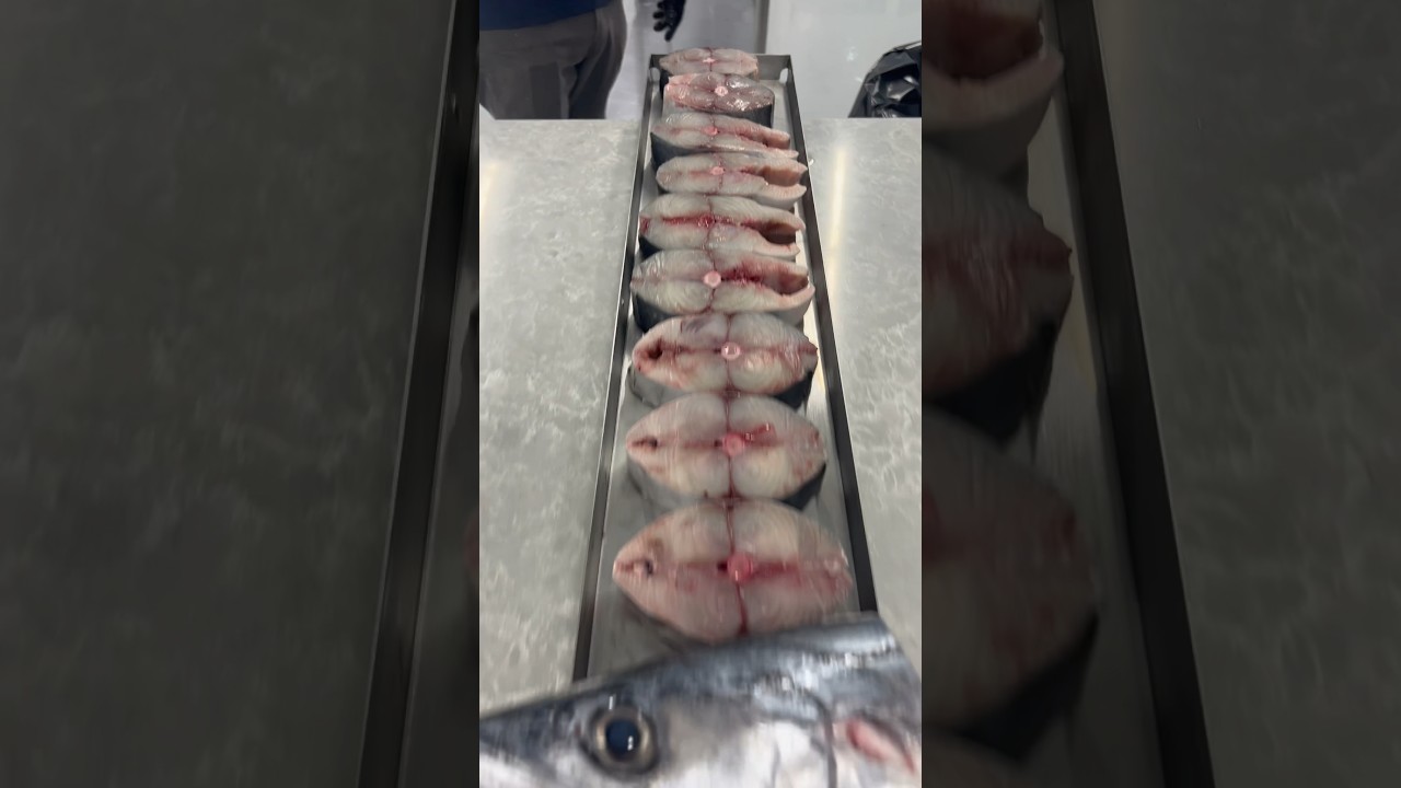 King Mackerel AKA Kingfish is commonly cooked as steaks vs. fillets. What&rsquo;s your preference?!