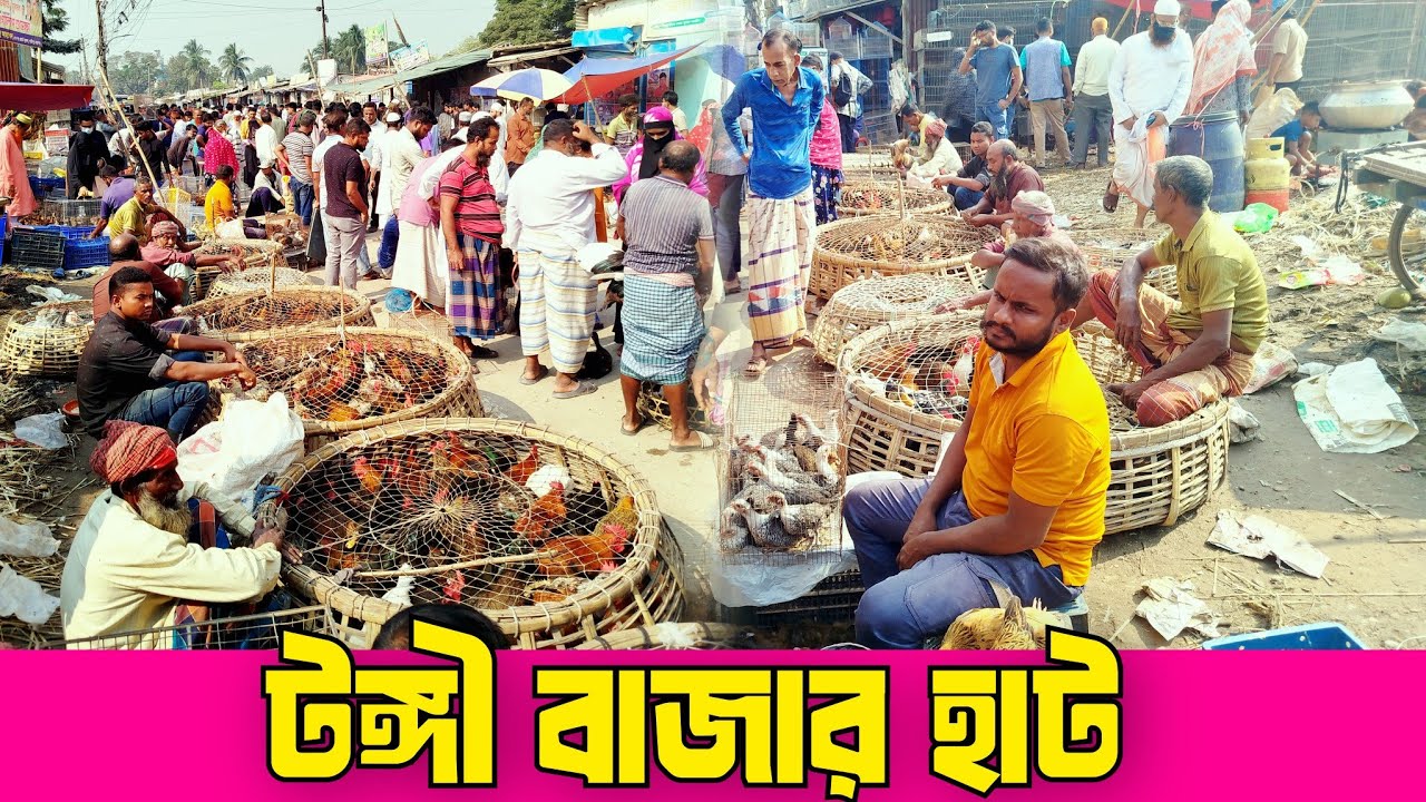 ৩০-১১-২৫. টঙ্গী বাজার হাট। টঙ্গী হাট। দেশি হাঁস মুরগি। ফেন্সি মুরগি। tongi hat.duck chicken price.