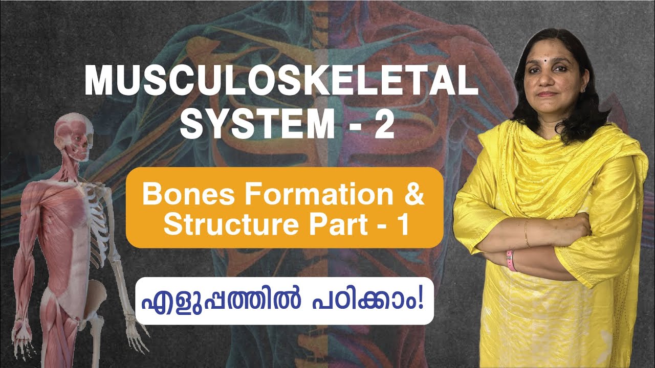 Musculoskeletal System - 2 | Bones Formation & Structure - Part - 1 | Malayalam