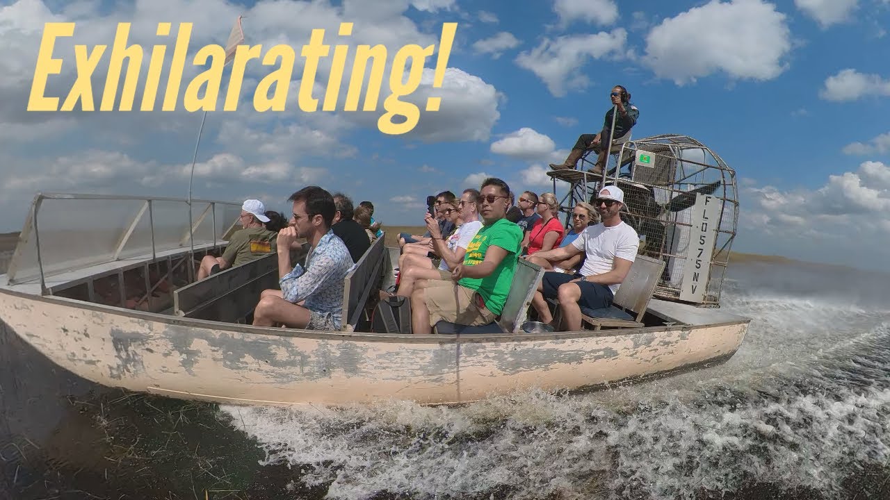 EVERGLADES 🇺🇸 AIR BOAT TOUR : Perfect Miami Excursion