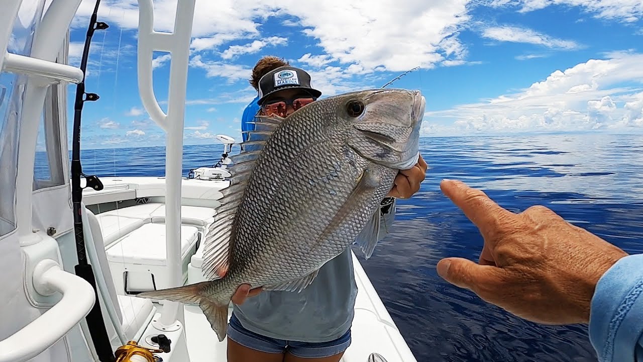You Won't Believe What This Fish Did!  Jolthead Porgy & Hard Clams Catch Clean and Cook