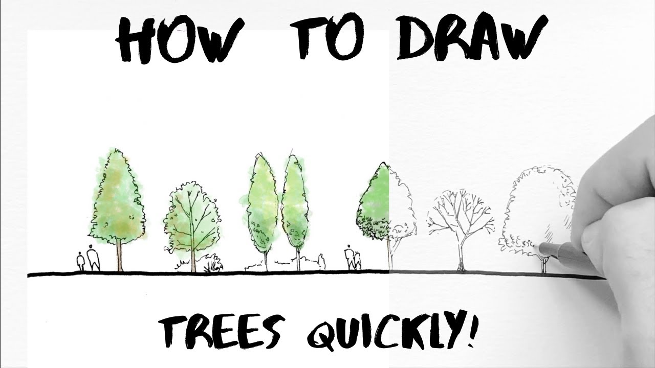 How to Draw Trees Quickly! Colour in Krita // Narrated Landscape Architecture Tutorial