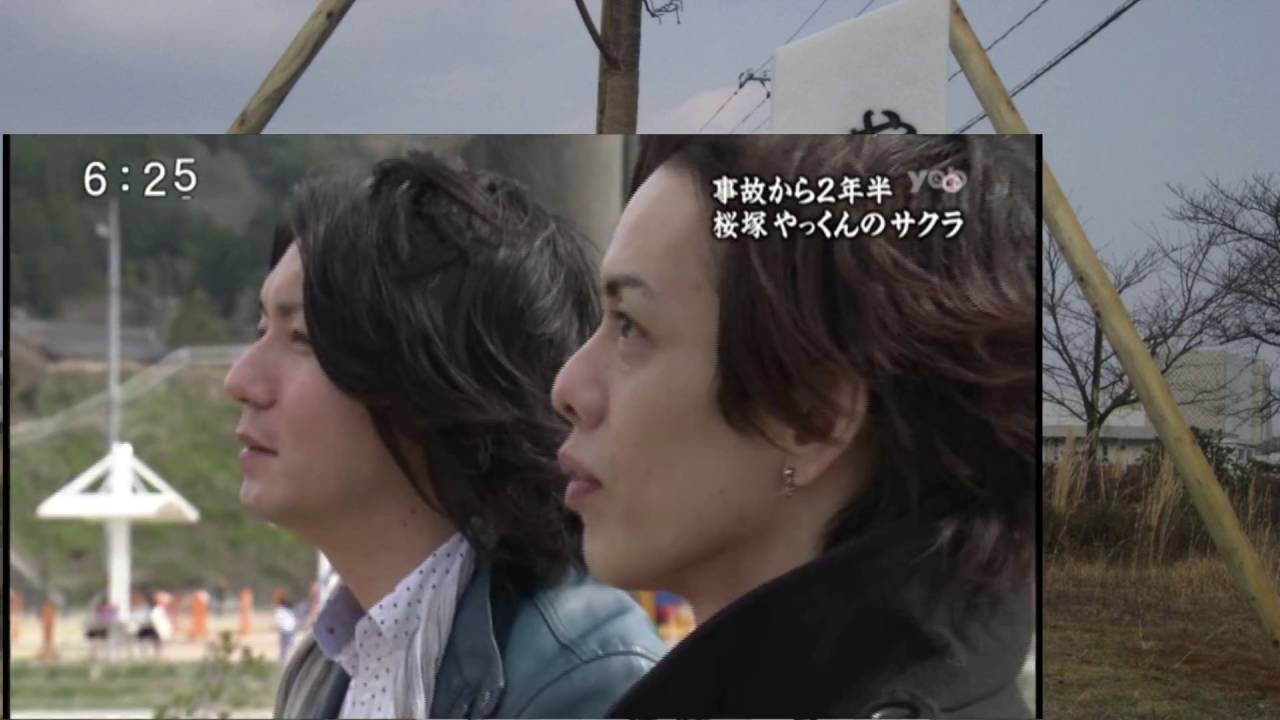 山口朝日放送yab 桜塚やっくんの桜の木　岸田健作