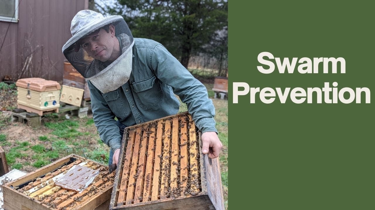 🔵When to Reverse Brood Boxes
