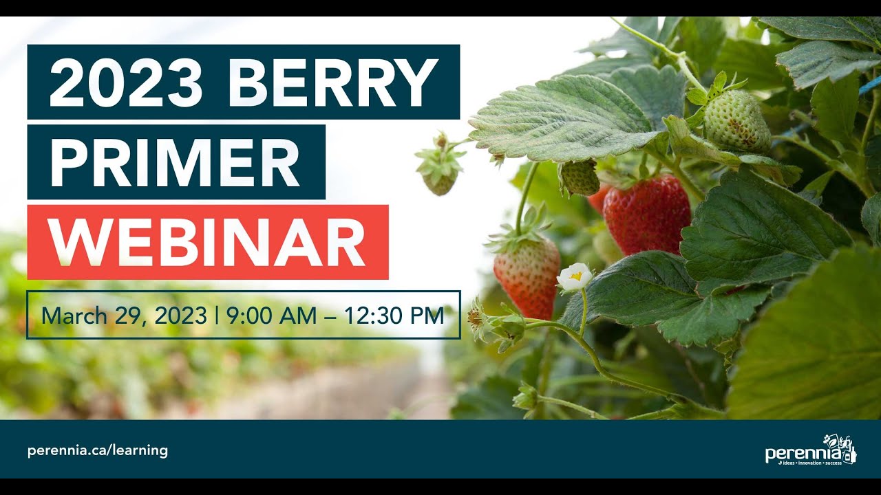 2023 Berry Primer - Low tunnel strawberry production