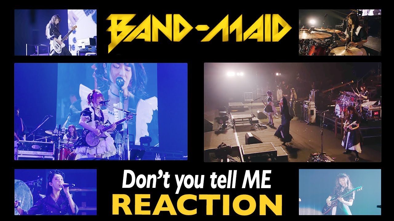 Brothers REACT to Band-Maid: Don't you tell ME (Live 2023)