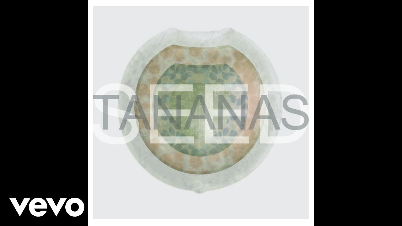 Tananas - Khiribheke (Official Audio)