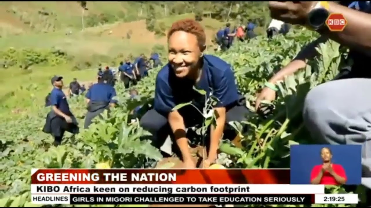 Kibo Africa and KFS to plant 100k trees in the next three years