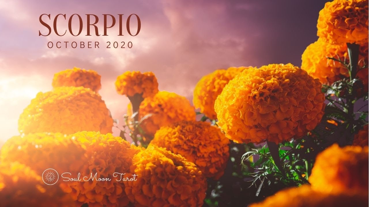 SCORPIO October 2020