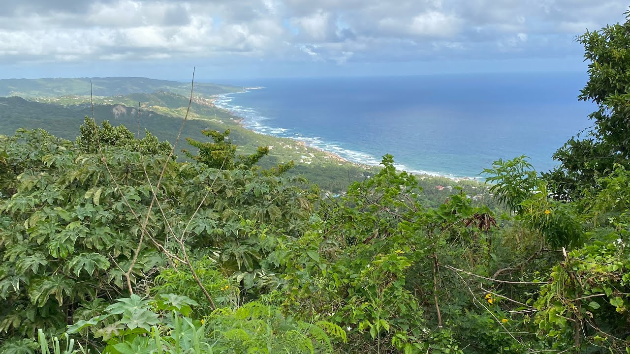 7 - Barbados : Jeep Safari to Bathsheba and secluded Bridgetown beach