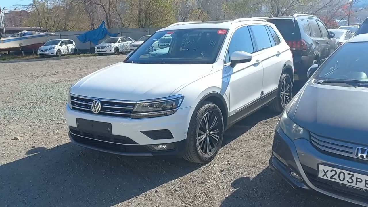 Какие Тигуаны приезжают из Кореи