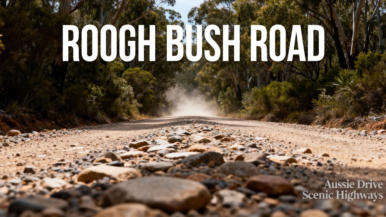 Road Trip to Glow Worm Tunnel | Old Coach Trail | Katoomba to Newnes Plateau (Gravel Bush Road)
