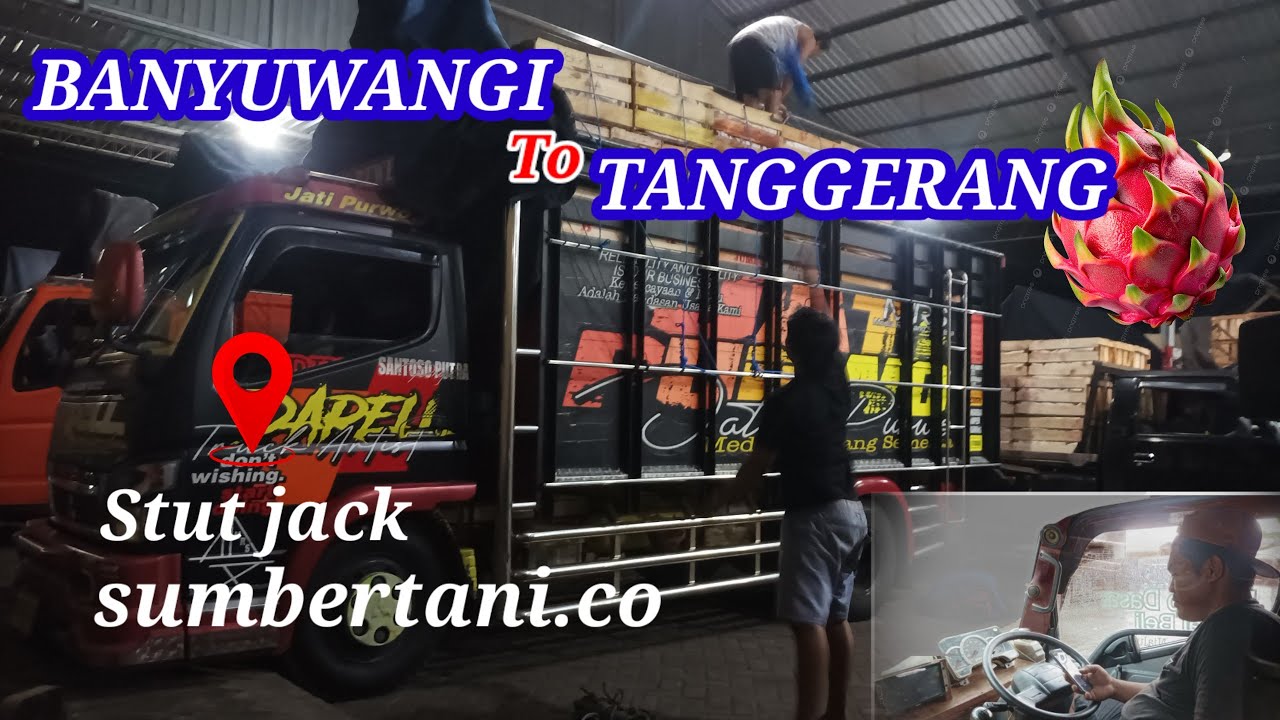 STUT JACK BUAH NAGA ‼️banyuwangi ke tanggerang #supirtruk #stutjack 