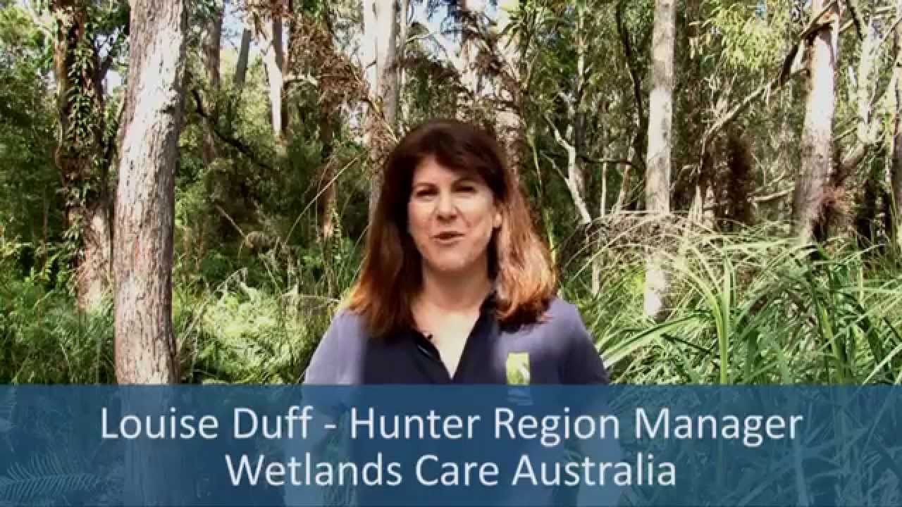 Hunter Estuary Wetlands Conservation - Get Involved!