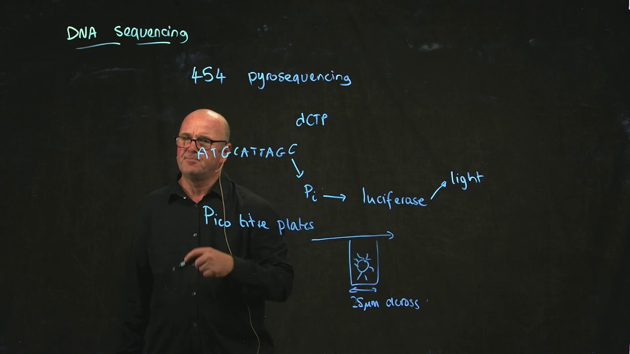 454 pyrosequencing