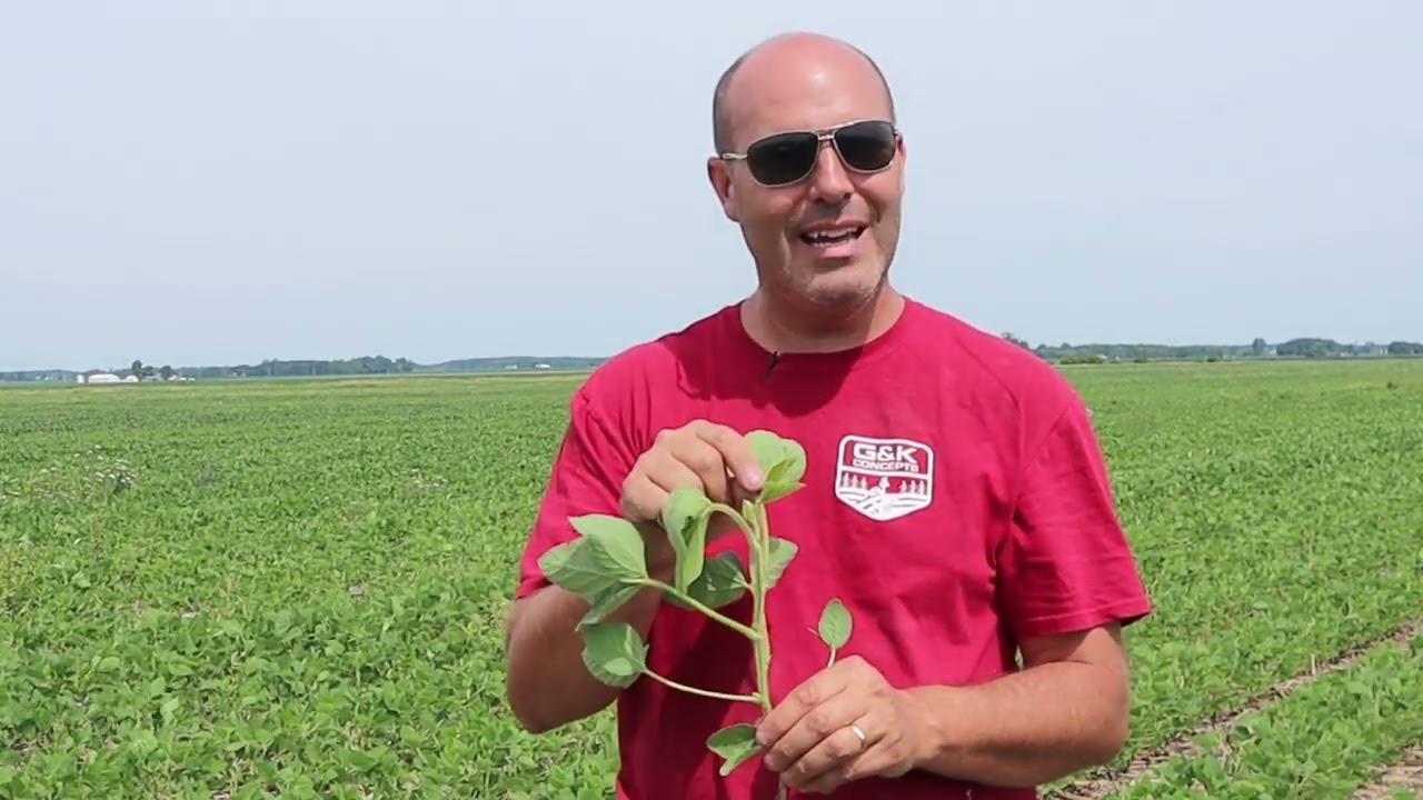 Soybean & Corn Fungicide Timing w/ Thoughts on tar spot