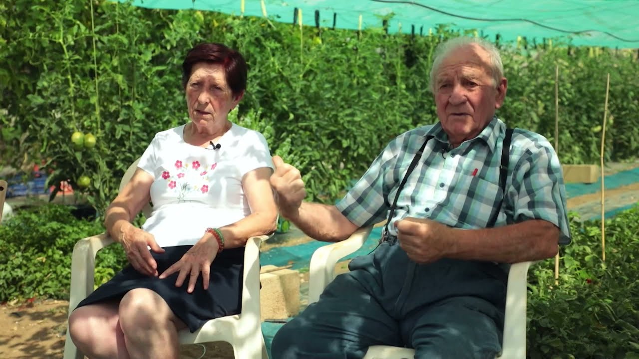 Repoblaci&oacute;n forestal