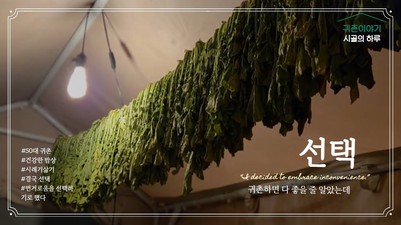 리틀포레스트는 영화속 로망 현실은 다르다. #시골라이프 #일상브이로그#감성브이로그#CountrysideLife #KoreanFood #CountryVibes #리틀포레스트