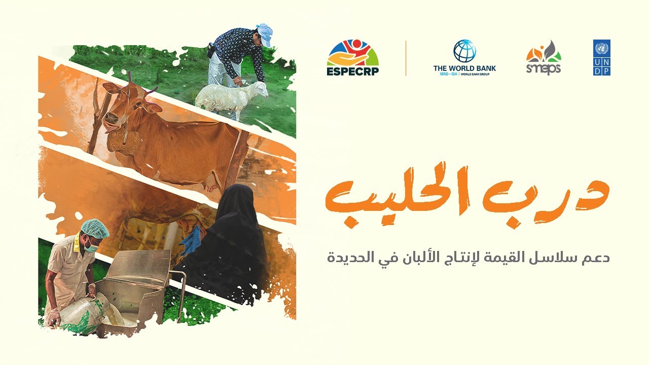Livestock Value Chain Documentation E | درب الحليب | SMEPS 