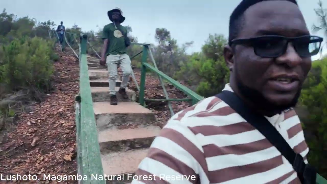 Exploring the Hidden Caves of Magamba Forest | Lushoto Adventure