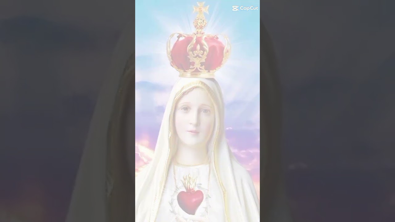 Devoci&oacute;n cat&oacute;lica a mar&iacute;a 