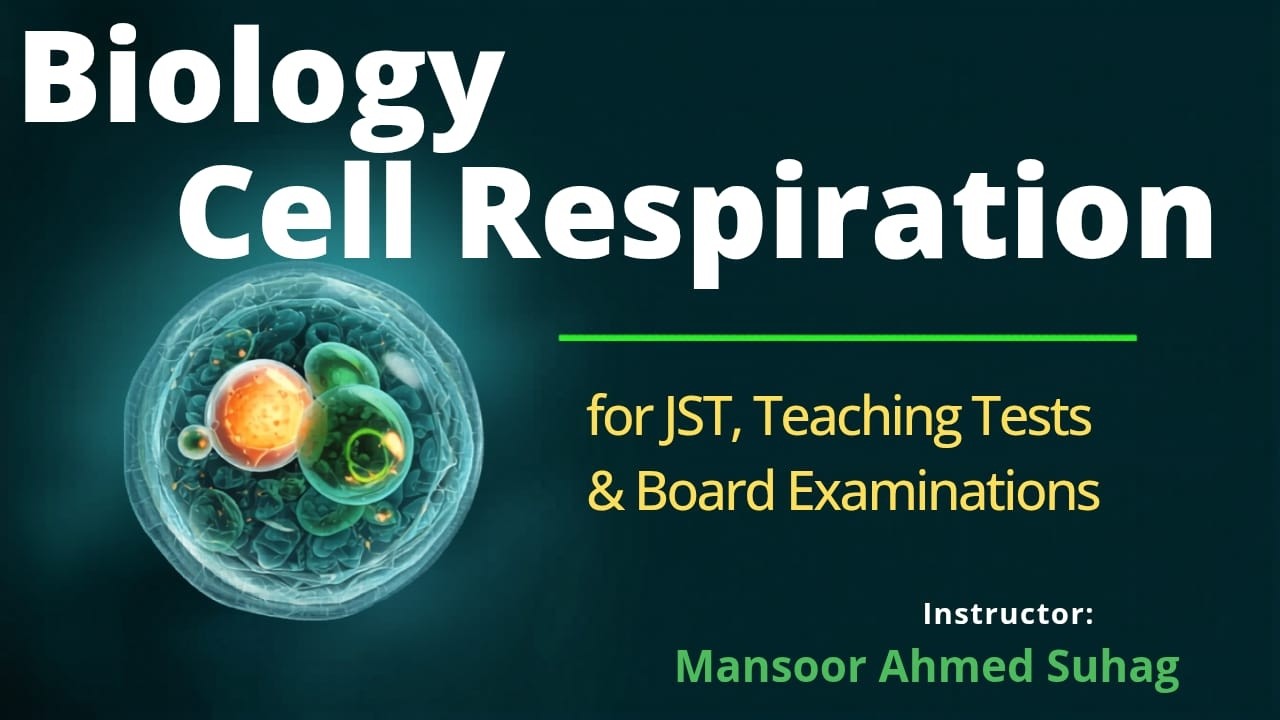 Biology | Cell Respiration (Theory+MCQs) | JST Junior Science Teacher | STS IBA & Teaching Tests