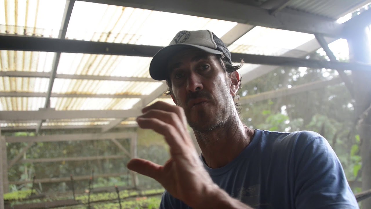 Comment faire un sérum lacto et du fish / How to make a lacto serum and some fish fertiliser