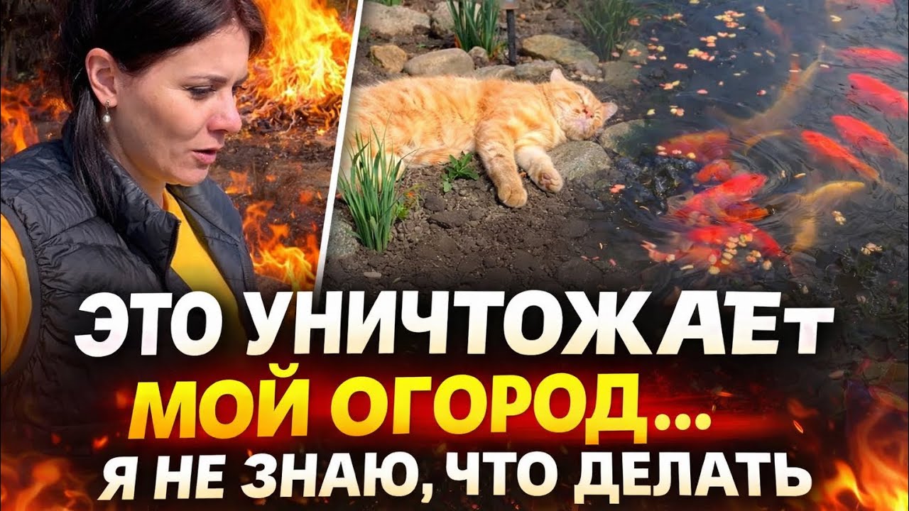❗️ЭТО УНИЧТОЖАЕТ МОЙ ОГОРОД❗️Я НЕ ЗНАЮ, ЧТО ДЕЛАТЬ…