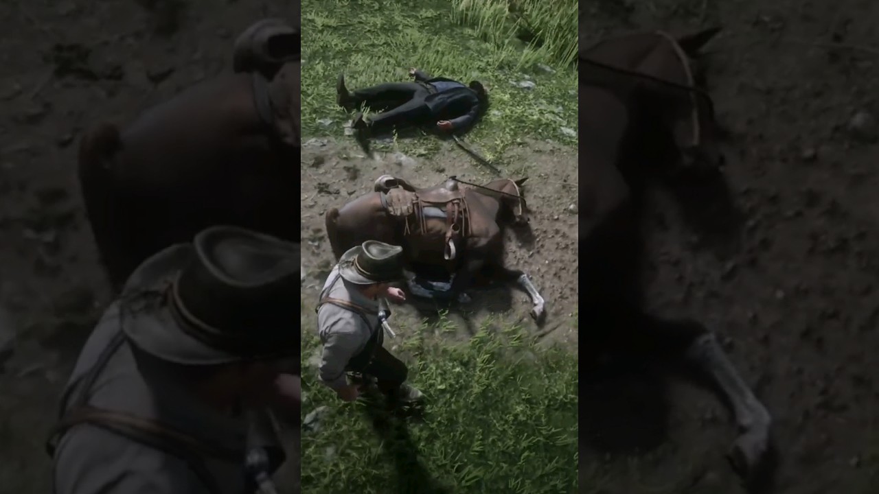 Horse Crash kills Civilian and Horse! 